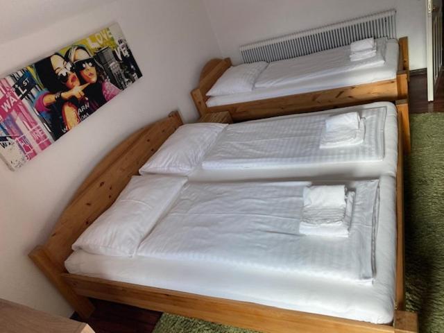 Hotel Wildschuetz Basic Altmünster Esterno foto