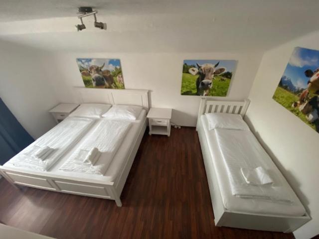 Hotel Wildschuetz Basic Altmünster Esterno foto